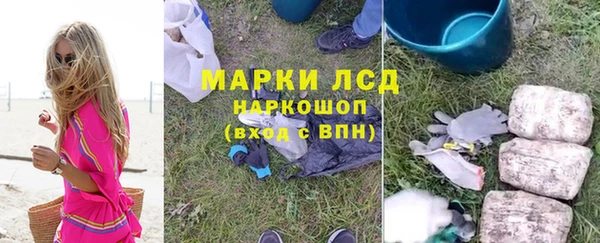 гидра Пестово