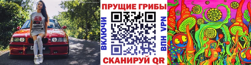Галлюциногенные грибы Psilocybine cubensis Игарка